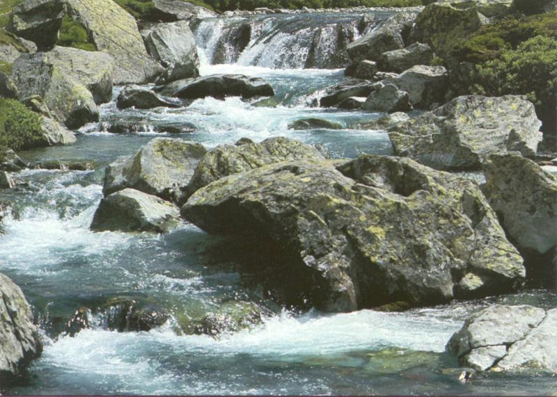 Areuabach im hinteren Val Curciusa