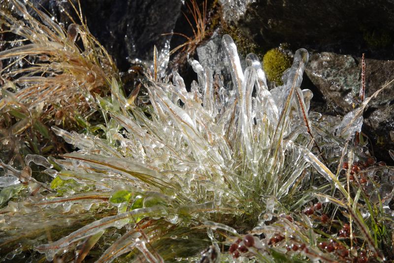 Greina News Januar 2023