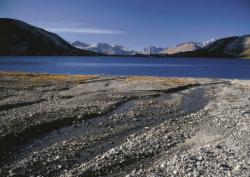 Greina News Juli 2022