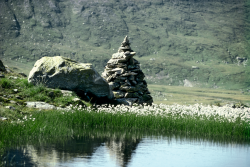 Steinformation mit Scheuchzerschem Wollgras (copyright SGS)